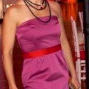 Talbots Fuschia Sateen Formal Column Gown SZ 2P